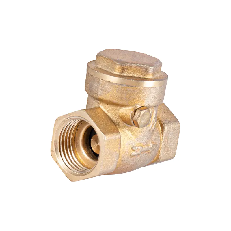 Check Valve Series